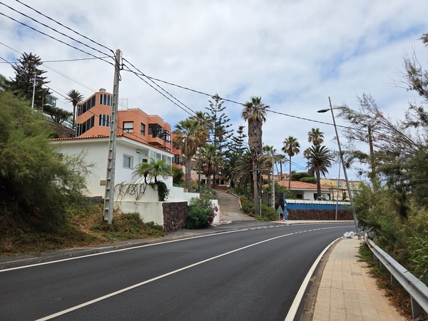 Strada costiera che attraversa la zona residenziale di Bajamar con palme e case.
