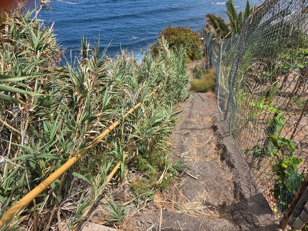 Stretto sentiero roccioso circondato da canne e protetto da una recinzione che scende verso la Playa El Ancón.